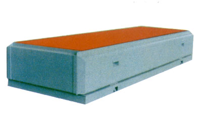 ģ